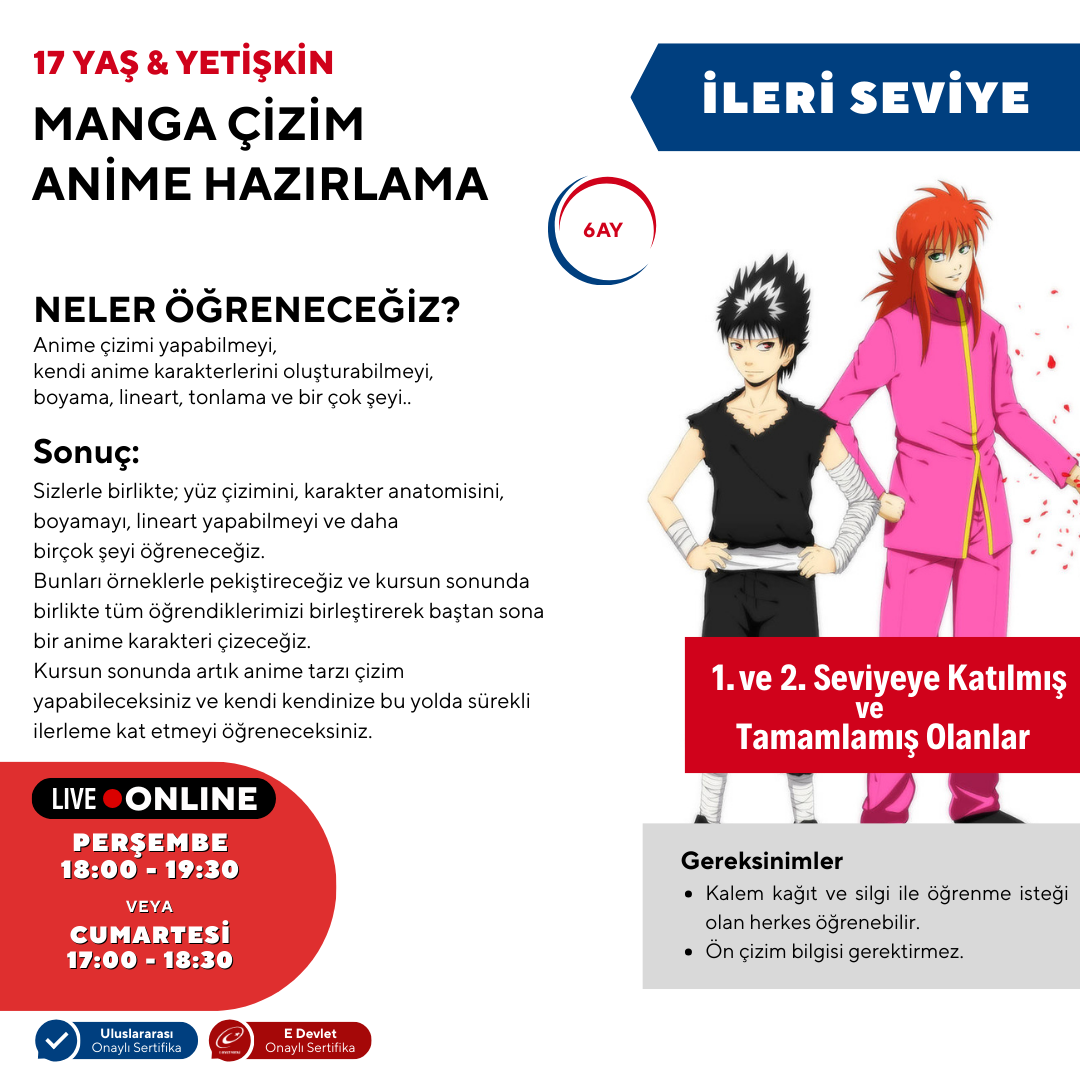 Manga Drawing and Anime Preparation (Advanced Level) (Ages 17 and Adults)