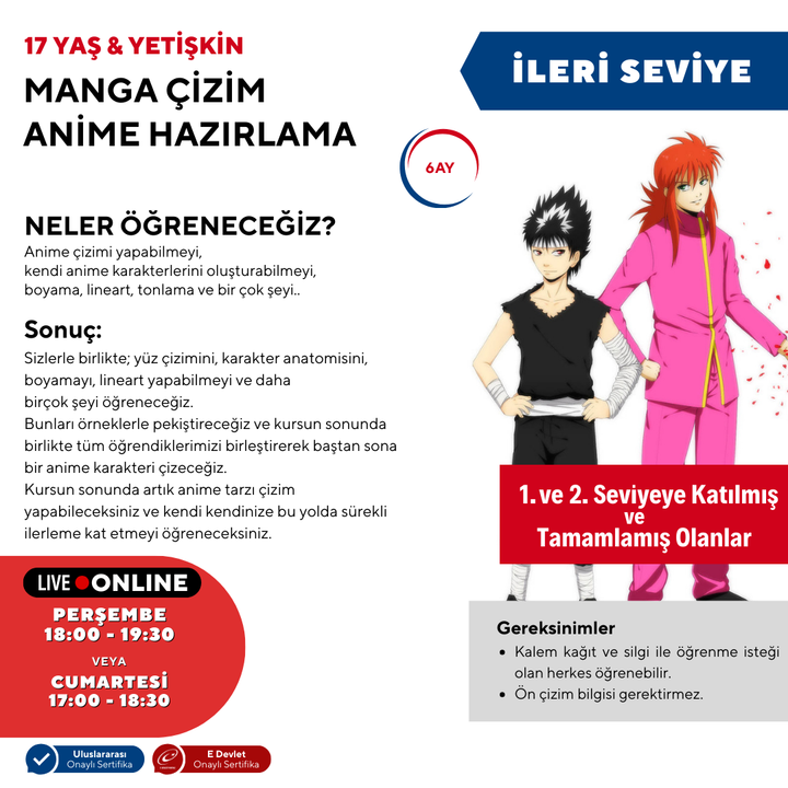 Manga Drawing and Anime Preparation (Advanced Level) (Ages 17 and Adults)