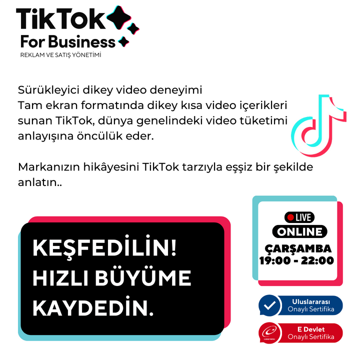 Tiktok For Business (Grow Your Business on Tiktok!)