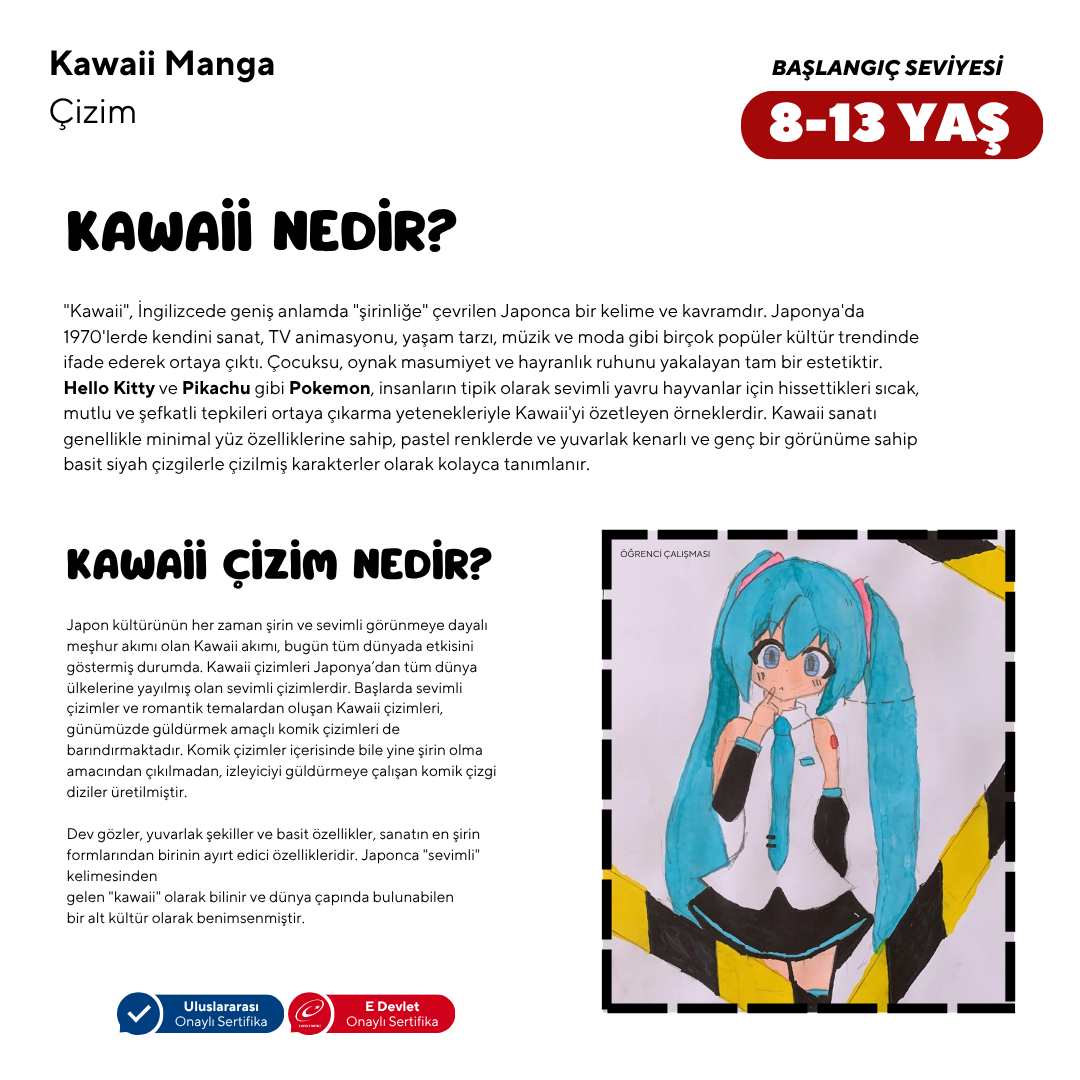 Kawaii Manga Çizim  (8-13 Yaş) - Yüz Yüze