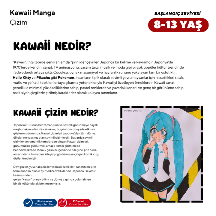 Kawaii Manga Çizim  (8-13 Yaş) - Yüz Yüze