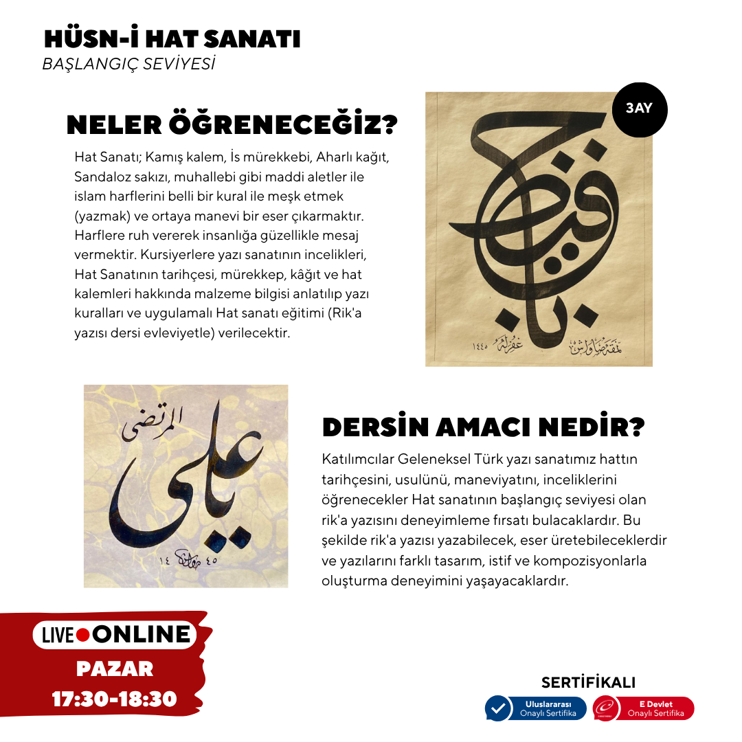 Hüsn-i Hat Sanatı  (Yetişkin)