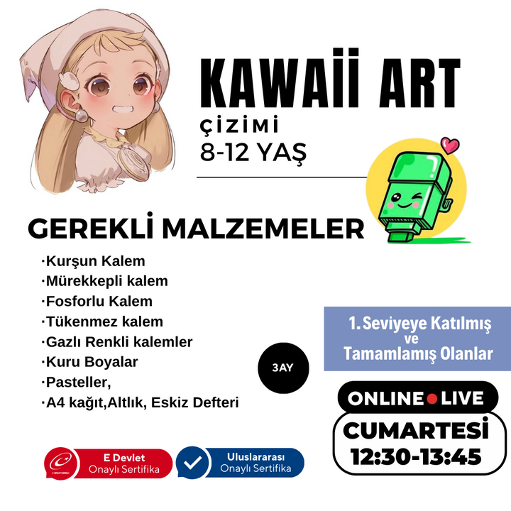 Kawaii Art Drawing Intermediate Level (8-12 Years Old)