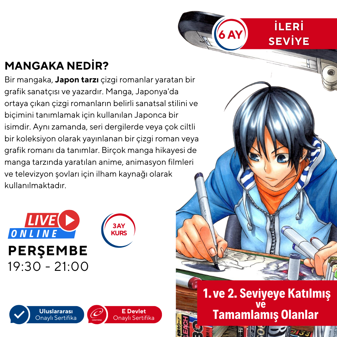 Japanese Comic Book (MANGA) Storyboard for Becoming a Mangaka (Advanced)