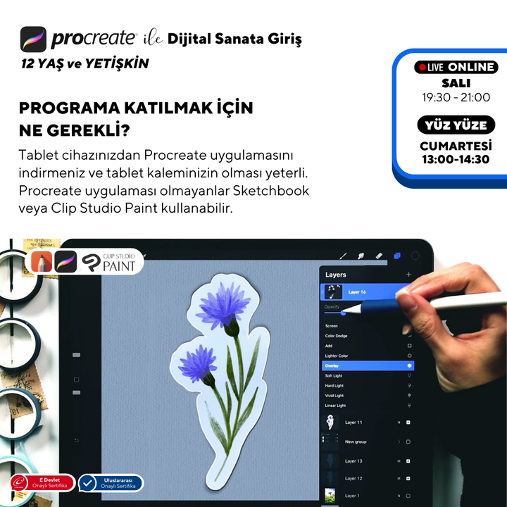 Introduction to Digital Art with Procreate (Ages 12+ and Adults)