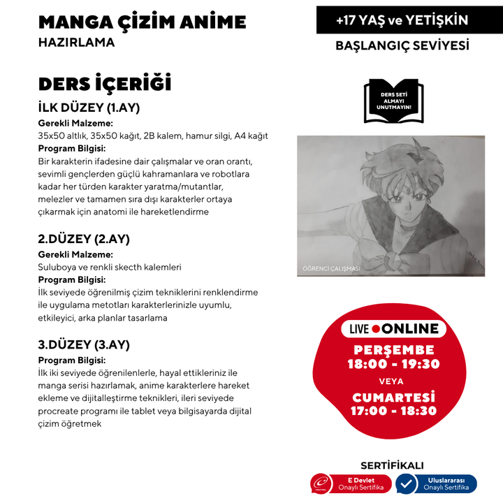 Manga and Anime (Ages 17 and Adults)