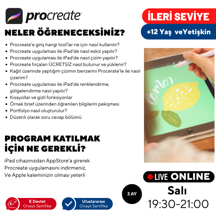 Digital Art with Procreate - Advanced Level - Online