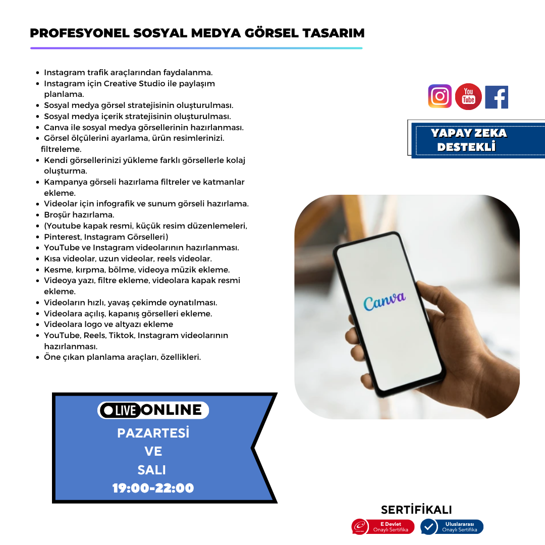 Professional Social Media Visual Design (Canva)