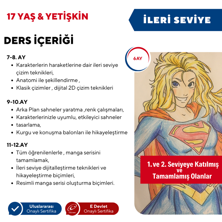 Manga Drawing and Anime Preparation (Advanced Level) (Ages 17 and Adults)