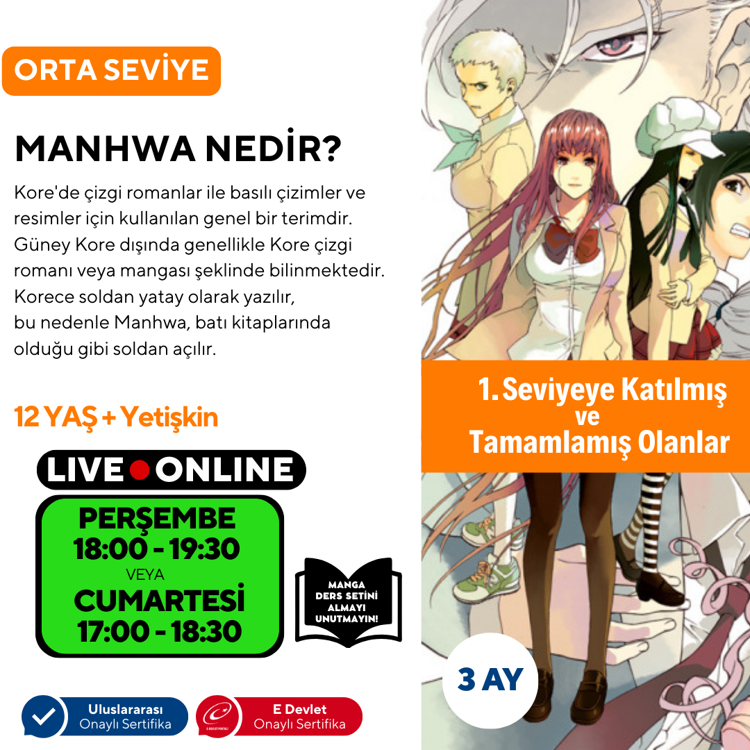 Webtoon ve Manhwa (Kore Çizgi Roman) Hazırlama (Orta Seviye)