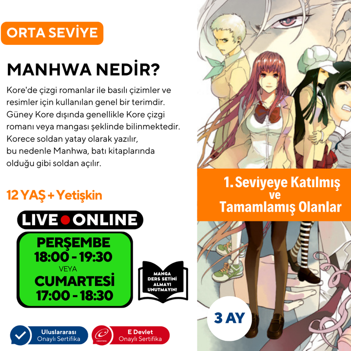 Webtoon ve Manhwa (Kore Çizgi Roman) Hazırlama (Orta Seviye)
