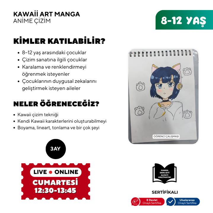 Kawaii Art Drawing (8-12 Years Old)