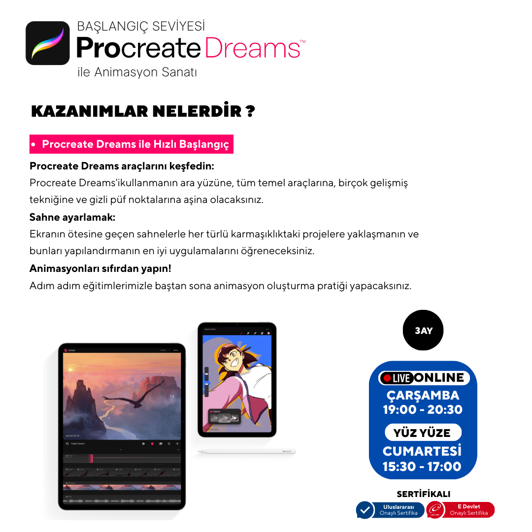 Procreate Dreams - Beginner Level - Online 