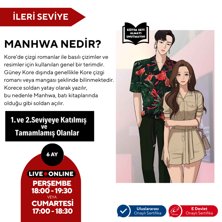 Webtoon and Manhwa (Korean Comic) Preparation (Advanced Level)