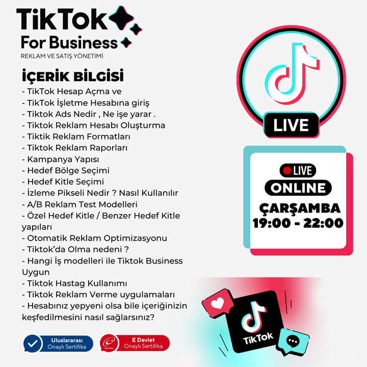 Tiktok For Business (Grow Your Business on Tiktok!)