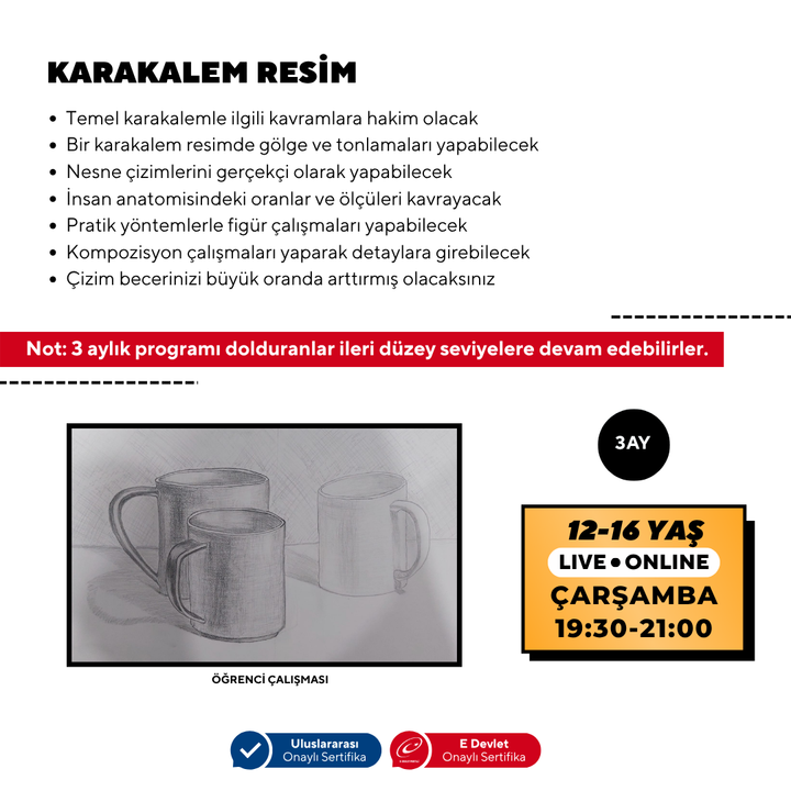 Karakalem Resim  (12-16 Yaş)