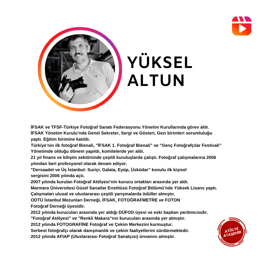 Professional Social Media Visual Design (Canva)