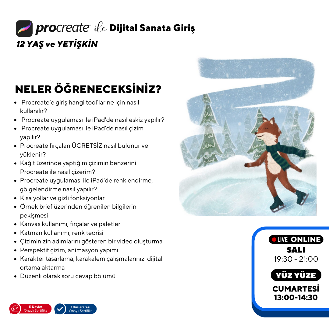 Introduction to Digital Art with Procreate (Ages 12+ and Adults)