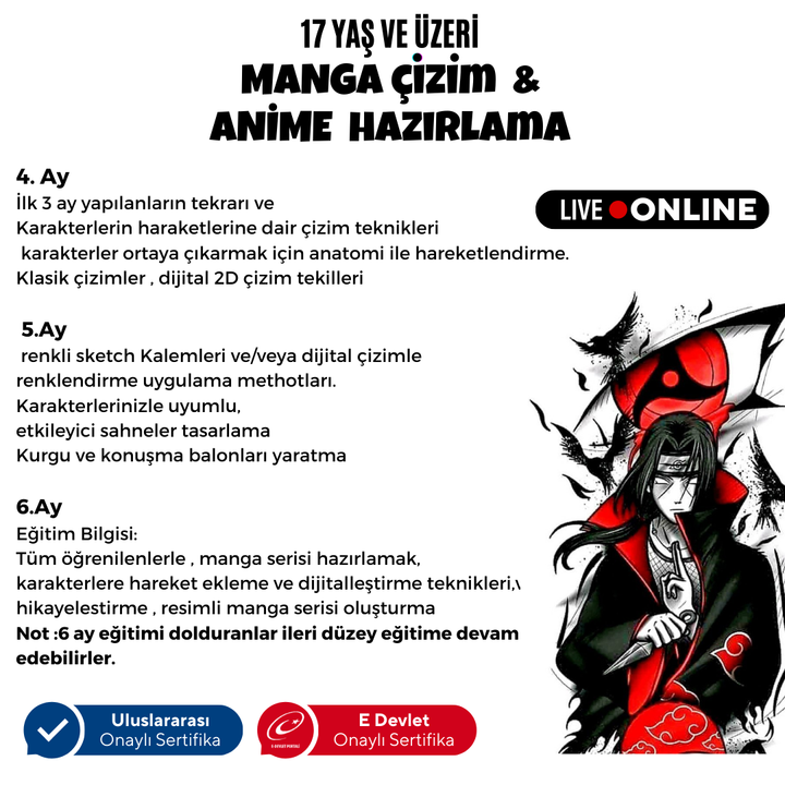 Manga Drawing and Anime Preparation (Intermediate Level) (Ages 17 and Adults)