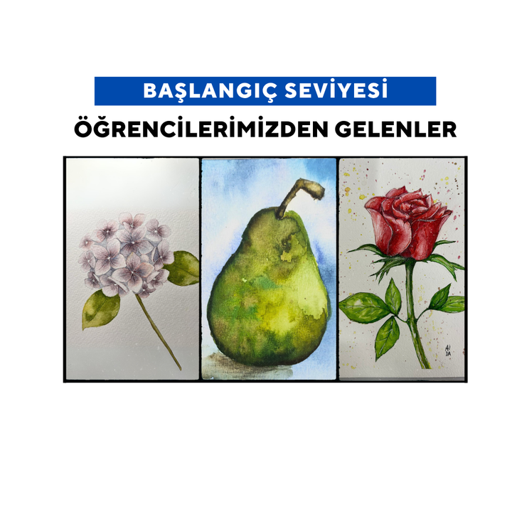 Watercolor Illustration (Adult)