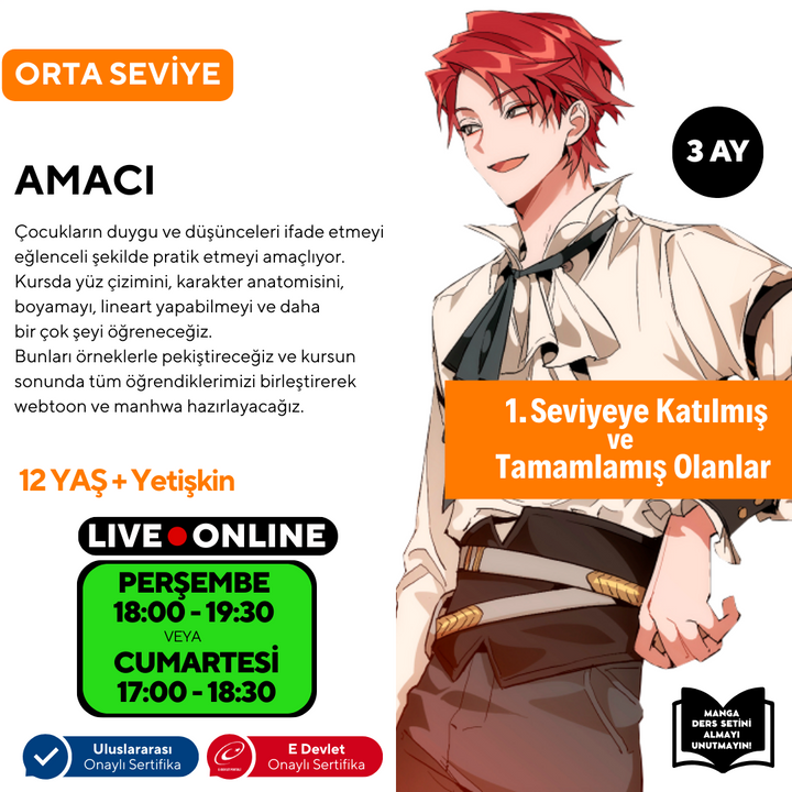 Webtoon ve Manhwa (Kore Çizgi Roman) Hazırlama (Orta Seviye)