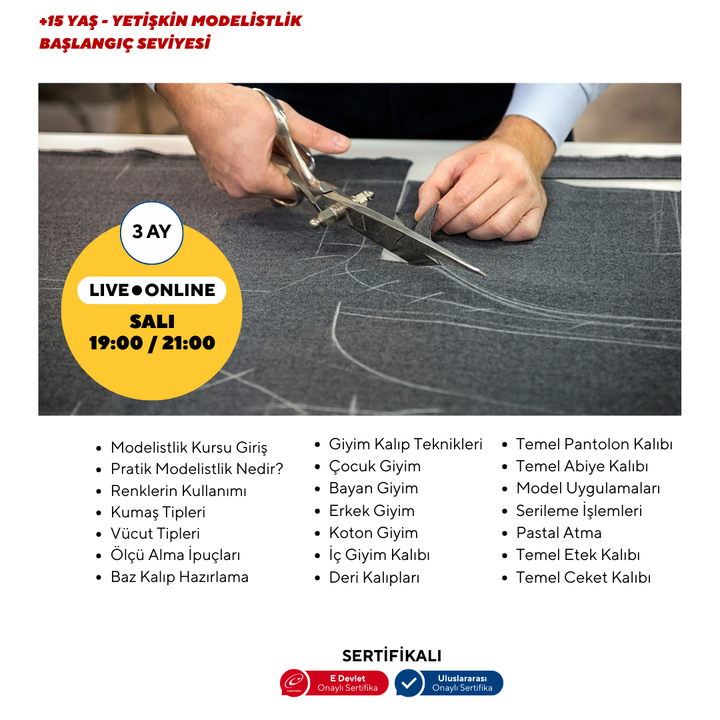 Modeling (15+ Years and Adults) - Beginner Level