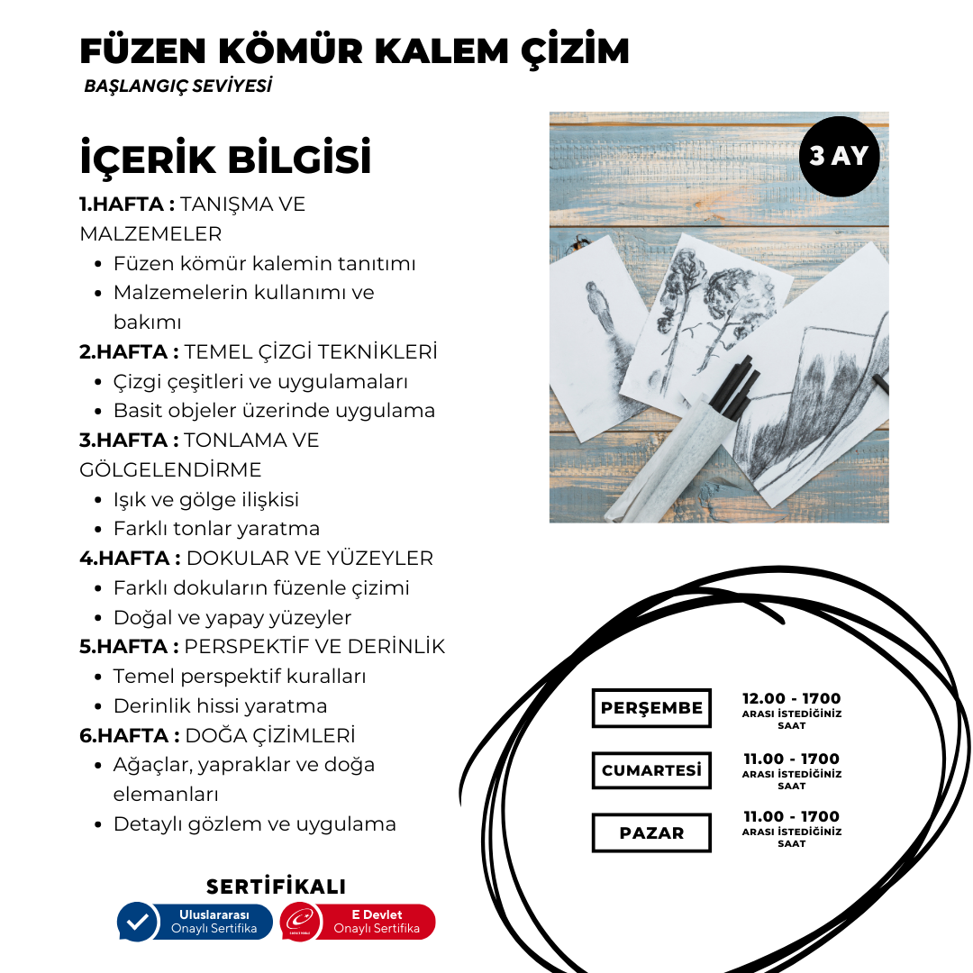 Charcoal Pencil Drawing (face to face) 