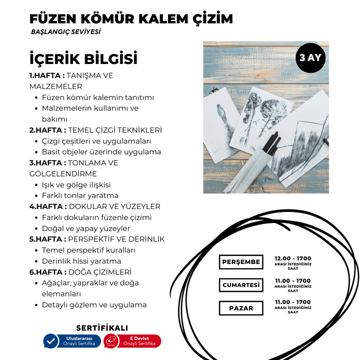 Charcoal Pencil Drawing (face to face) 