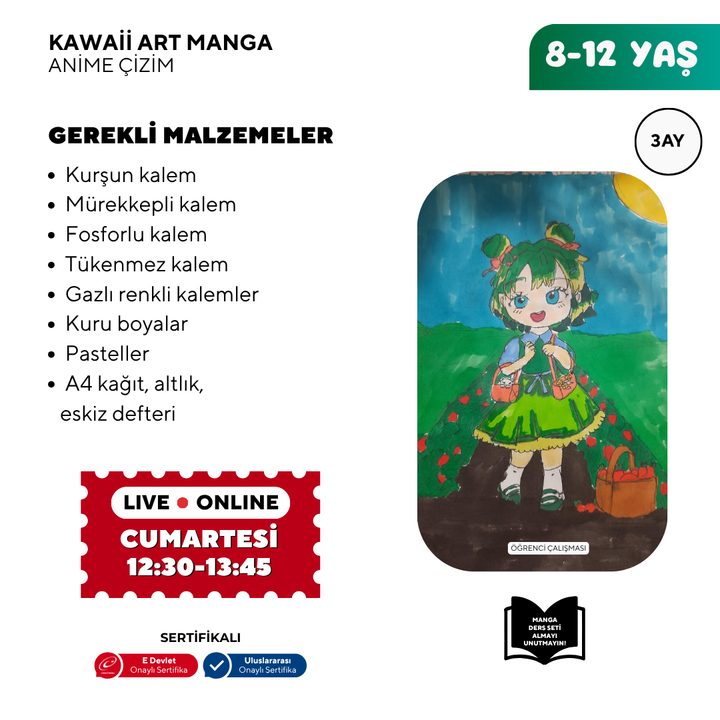 Kawaii Art Drawing (8-12 Years Old)