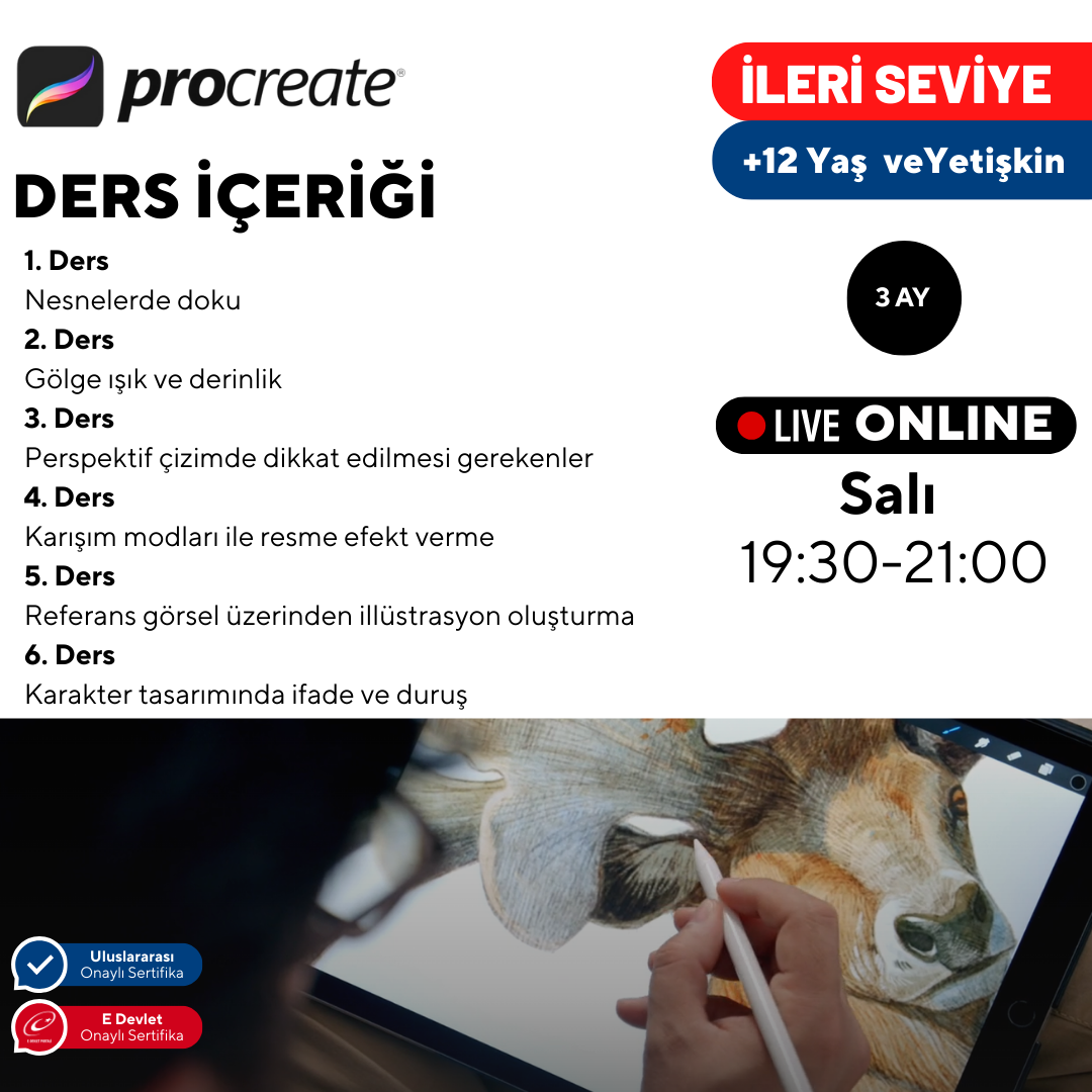 Digital Art with Procreate - Advanced Level - Online