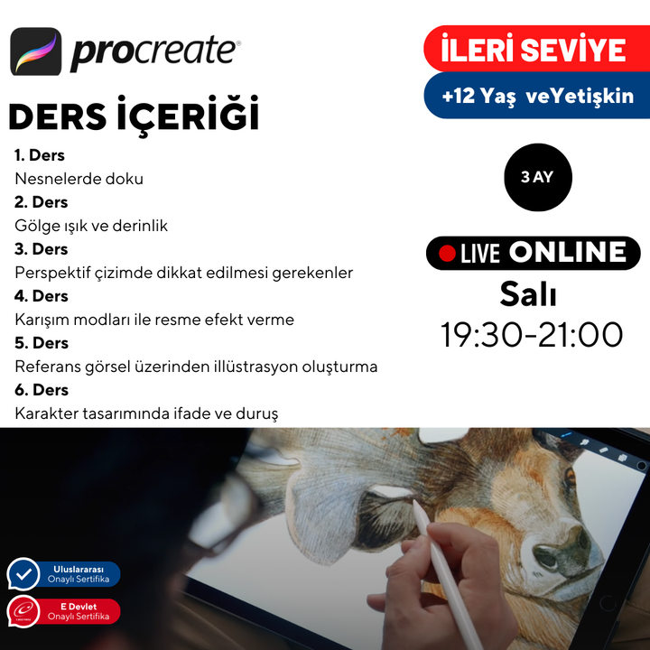 Digital Art with Procreate - Advanced Level - Online