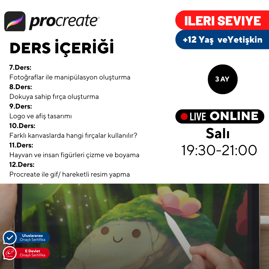 Digital Art with Procreate - Advanced Level - Online