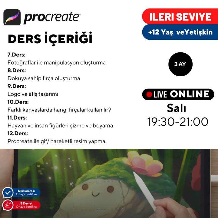 Digital Art with Procreate - Advanced Level - Online