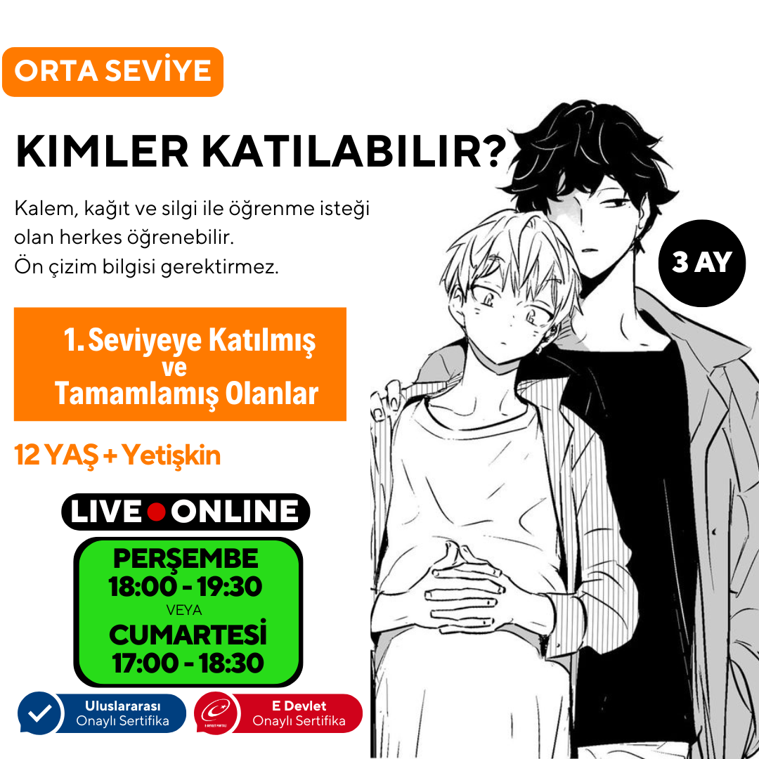 Webtoon ve Manhwa (Kore Çizgi Roman) Hazırlama (Orta Seviye)