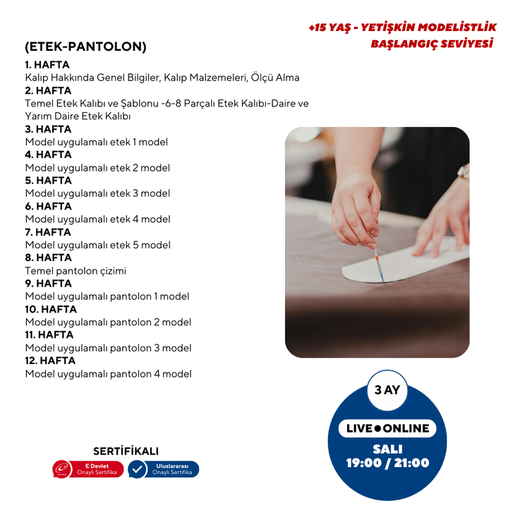 Modeling (15+ Years and Adults) - Beginner Level