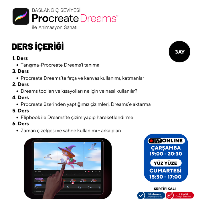 Procreate Dreams - Beginner Level - Online 