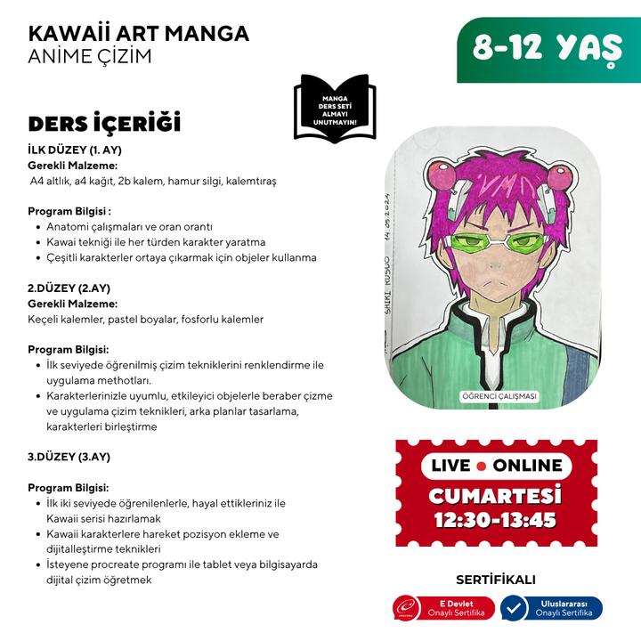 Kawaii Art Drawing (8-12 Years Old)