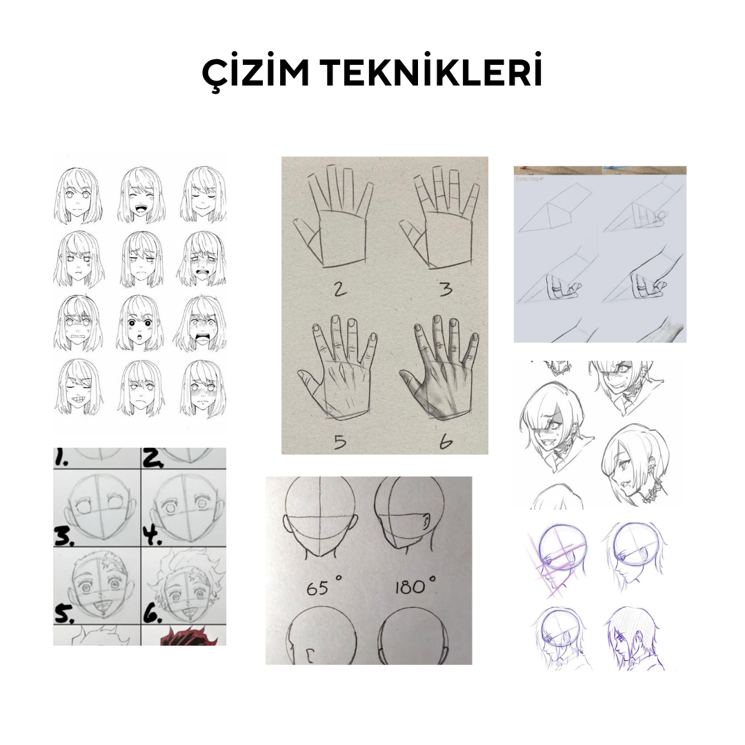 Manga and Anime (Ages 17 and Adults)