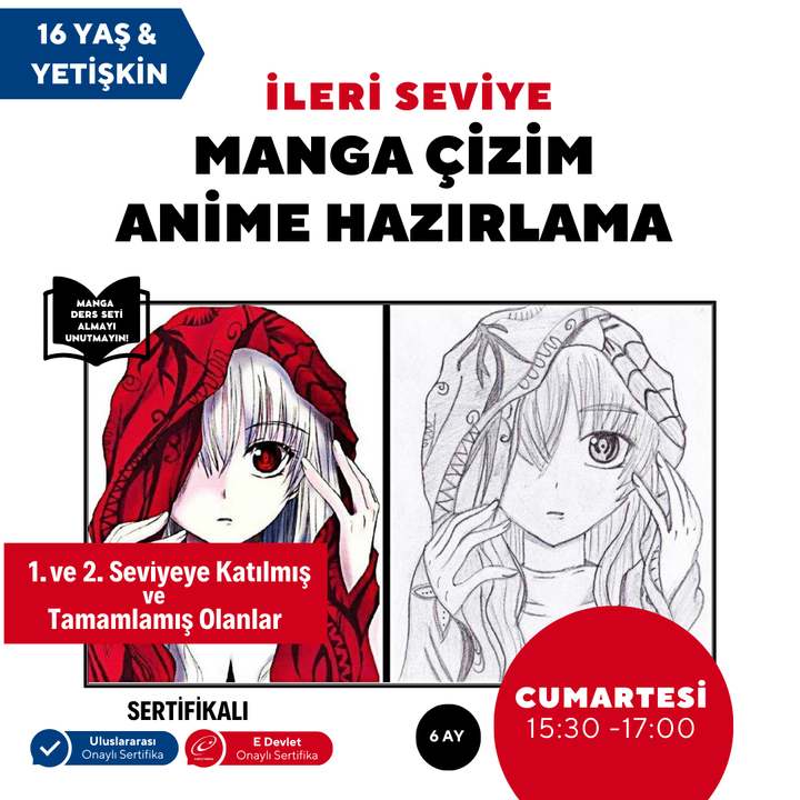 Manga Drawing and Anime Preparation (Advanced Level) - Face to Face (+ 16 and Adult)