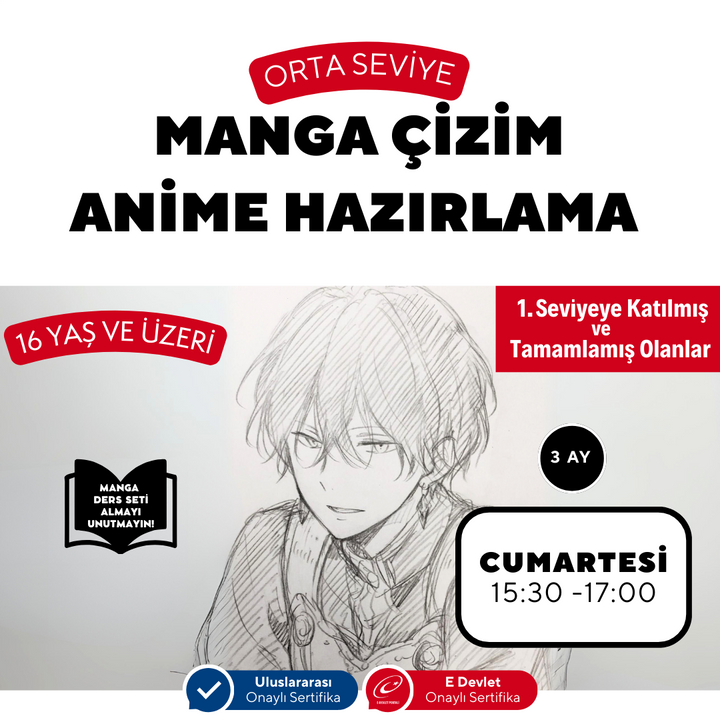 Manga Drawing and Anime Preparation (Intermediate Level) - Face to Face (+ 16 and Adult)